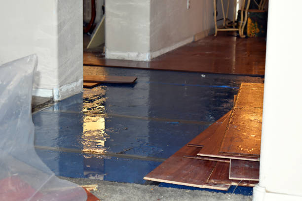 Professional Sewage Cleanup technician working in Rugby, ND